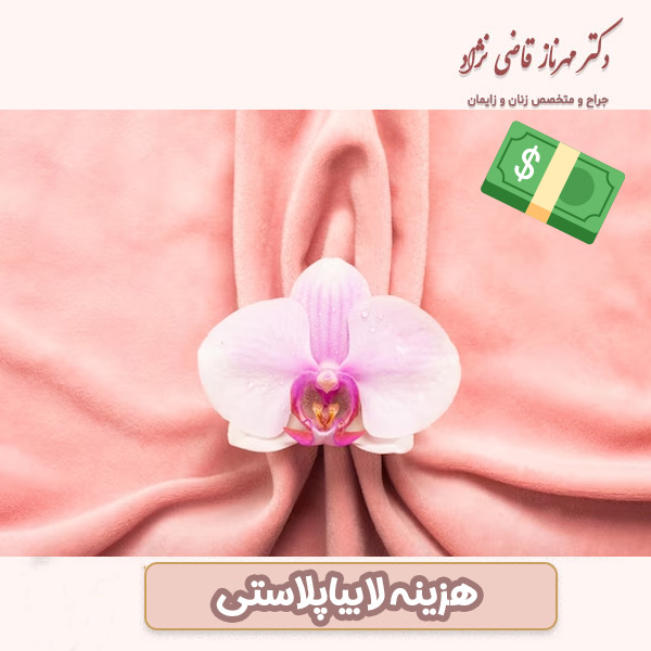 هزینه لابیاپلاستی - https://dr-mehrnazghazinezhad.com/